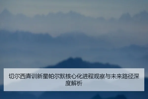 切尔西青训新星帕尔默核心化进程观察与未来路径深度解析