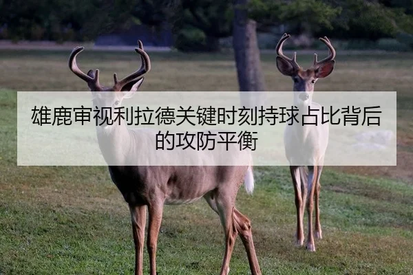雄鹿审视利拉德关键时刻持球占比背后的攻防平衡
